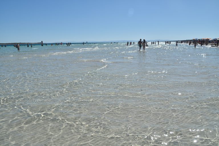 La Pelosa 2020 (4) (Sardegna)