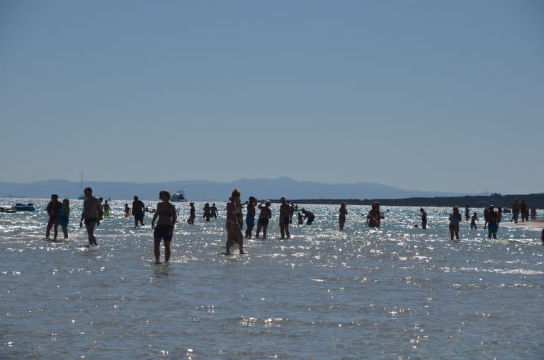 La Pelosa 2020 (6) (Sardegna)