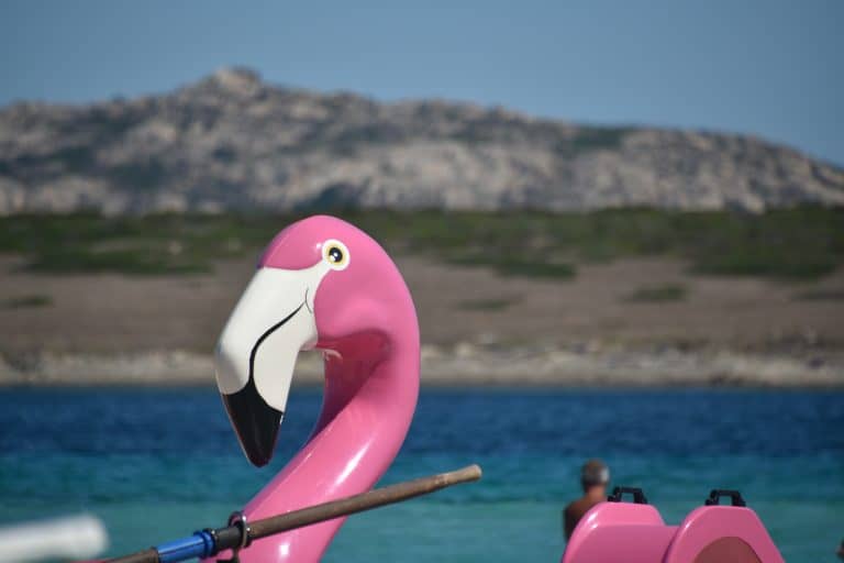 La Pelosa 2020 (7) (Sardegna)