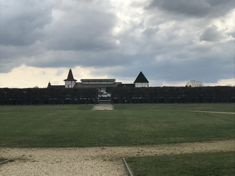 La Venaria Reale (15) (Piemonte)