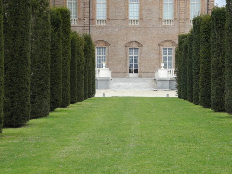La Venaria Reale (19) (Piemonte)