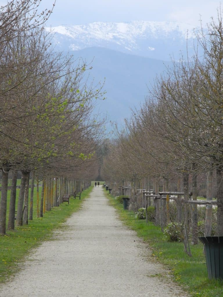 La Venaria Reale (24) (Piemonte)