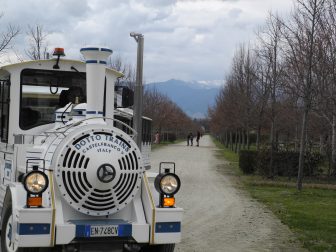 La Venaria Reale (16)