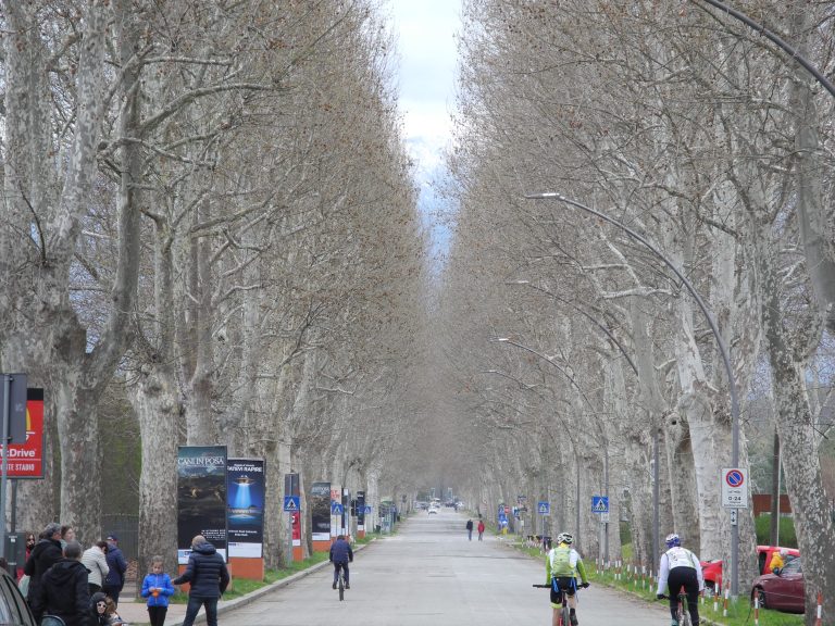 La Venaria Reale (30) (Piemonte)