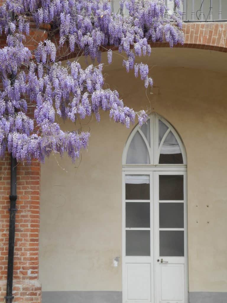 La Venaria Reale (33) (Piemonte)