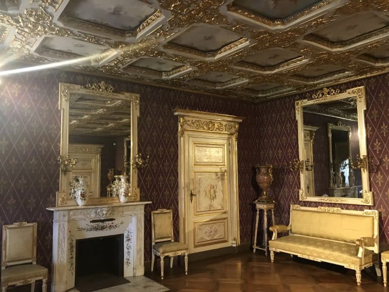 La Venaria Reale (39) (Piemonte)