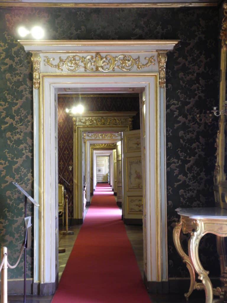 La Venaria Reale (44) (Piemonte)
