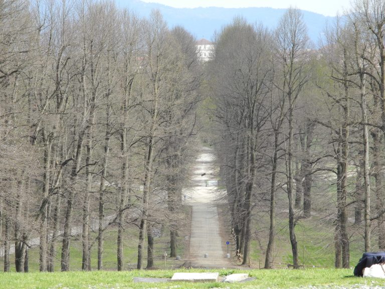 La Venaria Reale (54) (Piemonte)