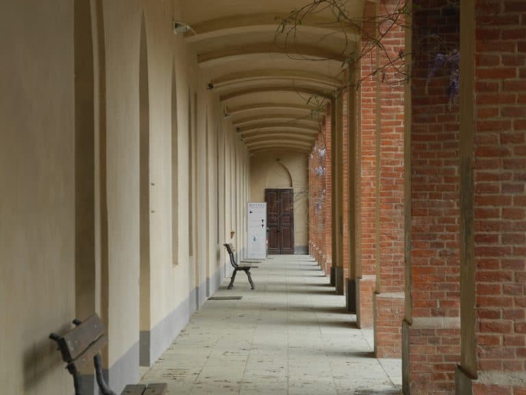 La Venaria Reale (58) (Piemonte)