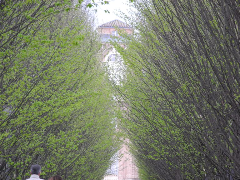 La Venaria Reale (62) (Piemonte)