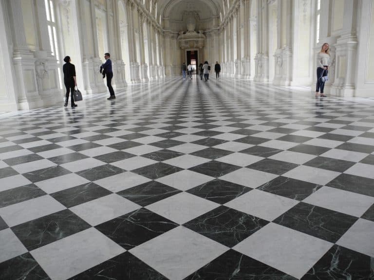 La Venaria Reale (77) (Piemonte)