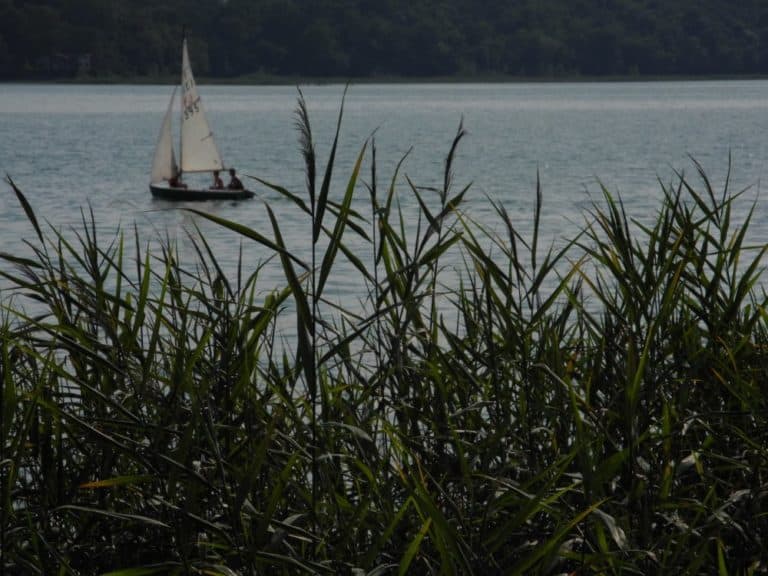 Un lago tranquillo, il lago di Pusiano