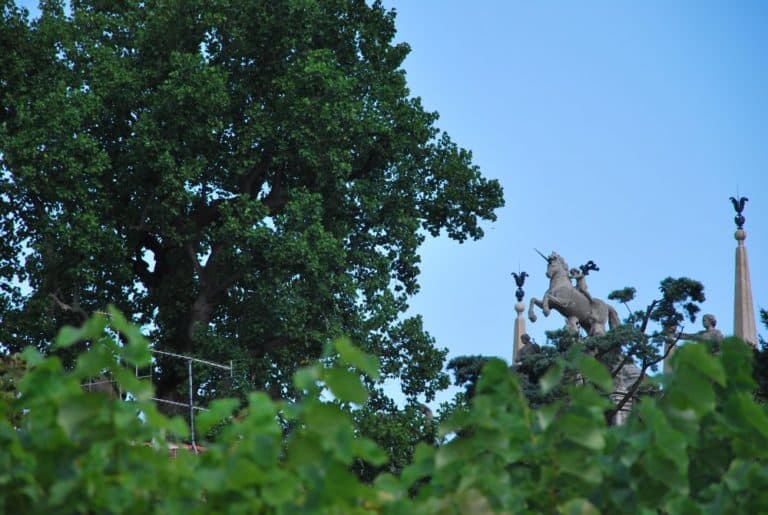 Italia, Lago Maggiore – cavallo, agosto 2013 (Piemonte)