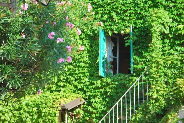 Italia, Lago Maggiore, isola Bella – finestra nel verde, agosto 2013 (Piemonte)