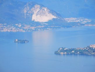 Italia, Lago Maggiore, Isola Madre – rosa shocking, agosto 2013
