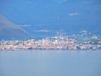 Italy, Lago Maggiore, Isola Madre – shocking pink, Aug.2013