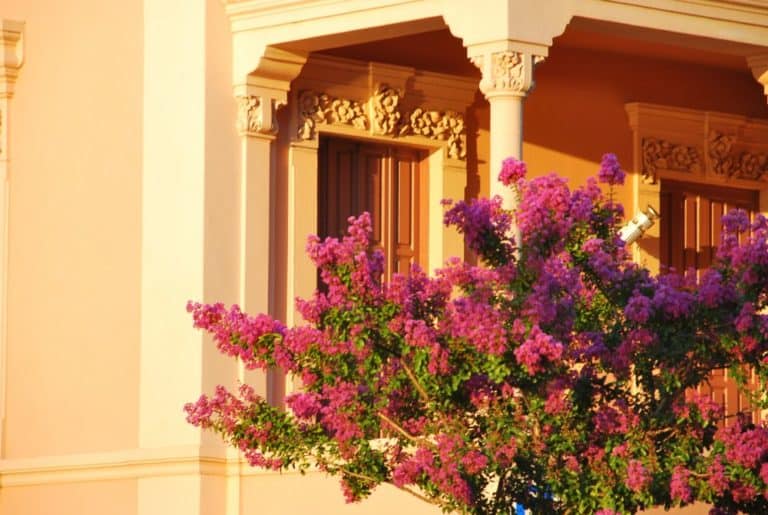 Italia, Lago Maggiore, Laveno – fiori e finestre, agosto 2013 (Piemonte)