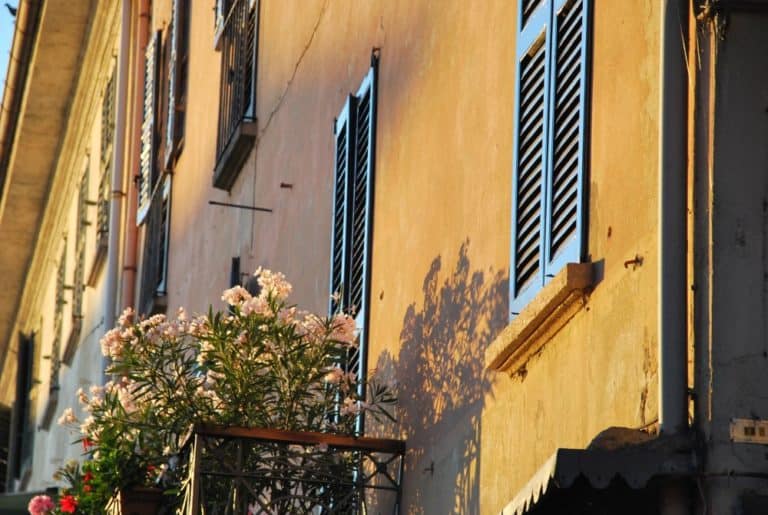 Italia, Lago Maggiore, Laveno – fiori e loro ombra, agosto 2013 (Piemonte)