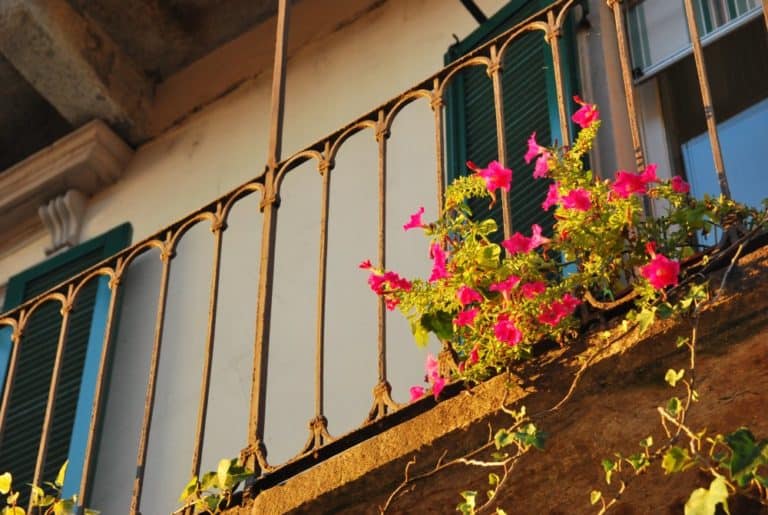 Italia, Lago Maggiore, Laveno – balcone con fiori, agosto 2013 (Piemonte)