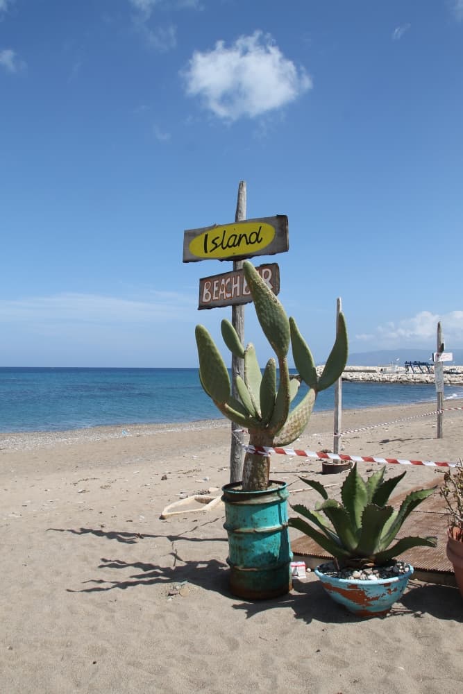 Latchi – cactus, Apr.2015
