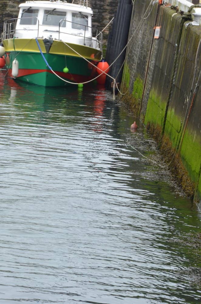 Isle of Man, Laxey – boat and moss, May 2014 (Isla de Man)