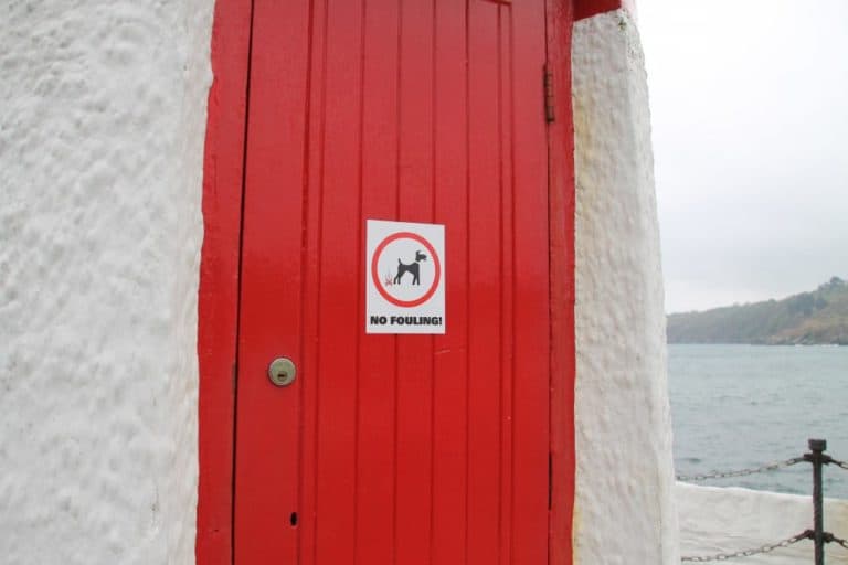 Isle of Man, Laxey – no dog dirt, May 2014 (Isle of Man)