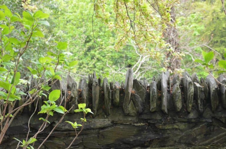 Isle of Man, Laxey – stone fence in green, May 2014 (Isla de Man)