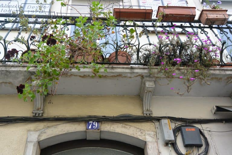 Lisbon2019 (187) (Lisbon)
