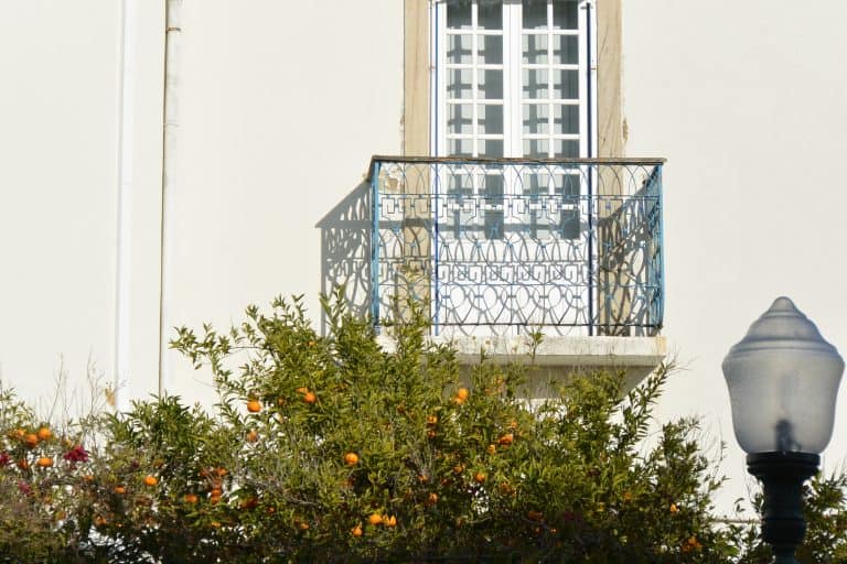Lisbon2019 (94) (Lisbon)