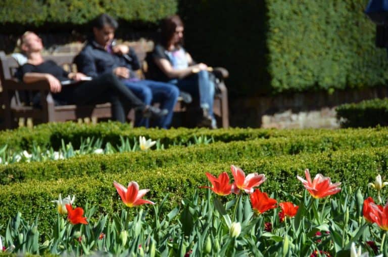 Primavera en el parque