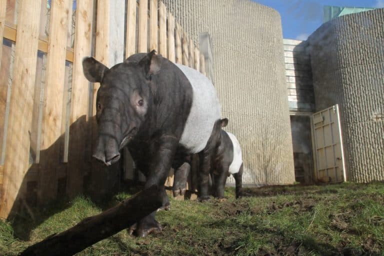 動物園、再訪