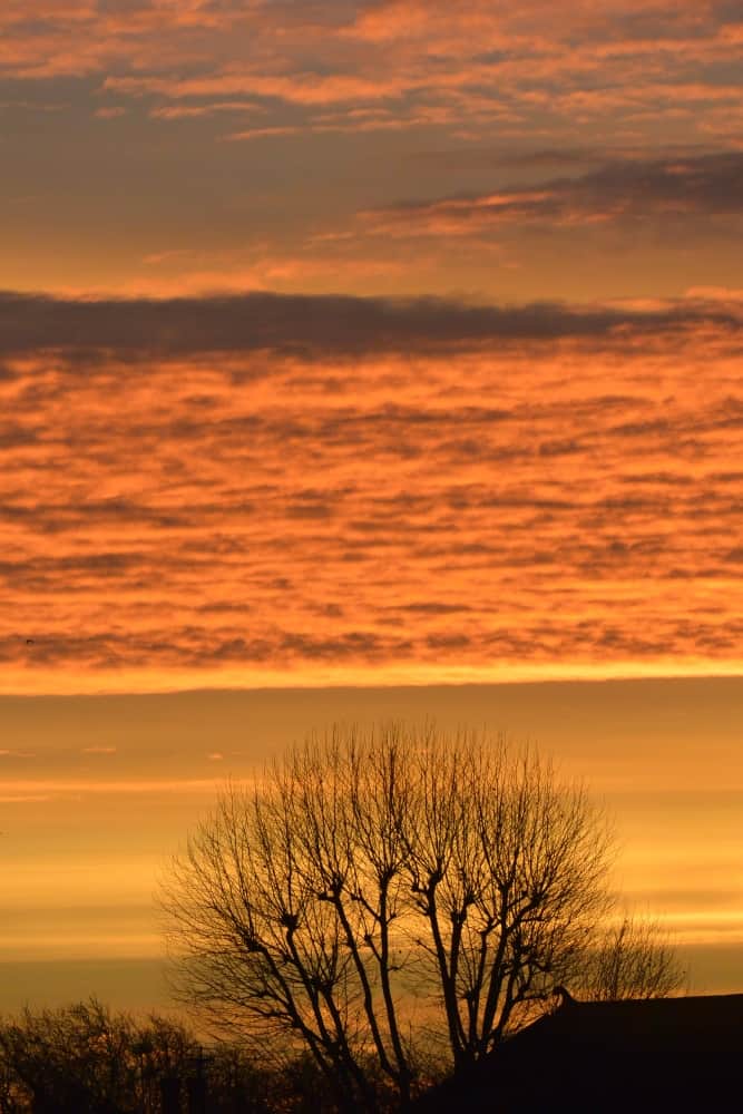inghilterra, Londra – splendore mattutino, dicembre 2014 (Londra)