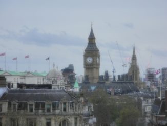 イングランド、ロンドン－庭 2013年5月