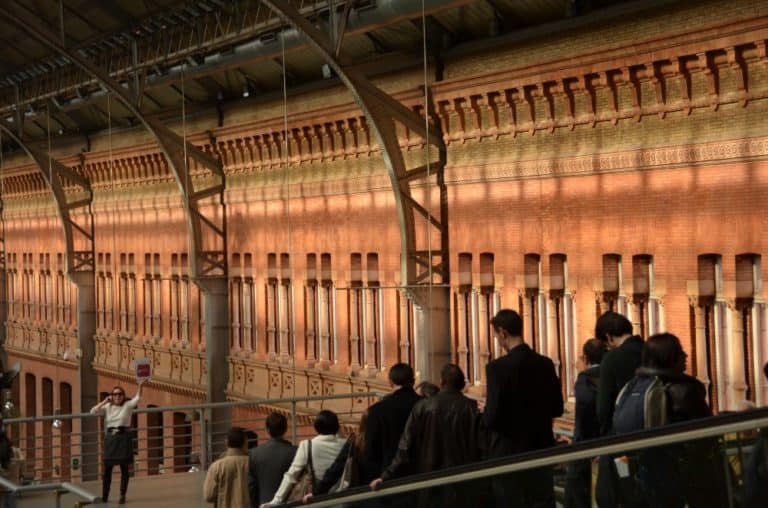 La stazione dove vivono le tartarughe