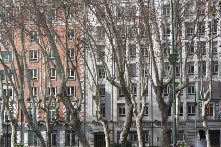 Madrid – trees and buildings, Jan.2018 (Madrid)