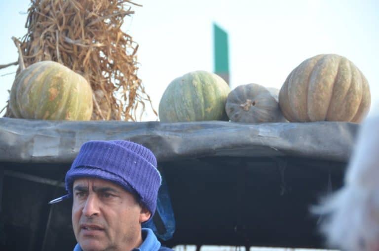 Malta, Marsaxlokk – pumpkins, Feb. 2013