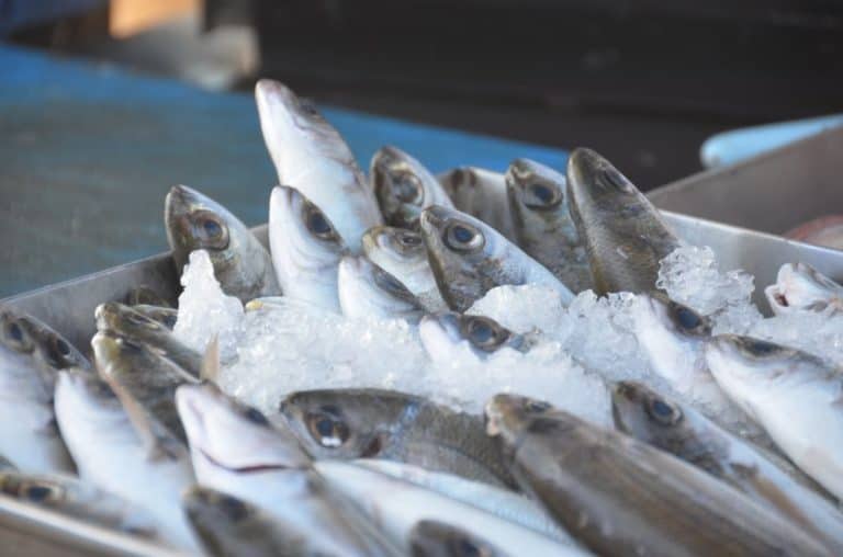 Malta, Marsaxlokk – fish, Feb. 2013