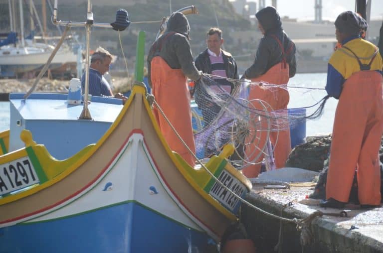 Malta, Marsaxlokk – workers, Feb. 2013