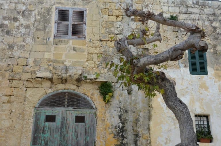 Malta, Mdina – beautiful decay, Feb. 2013 (Mdia)