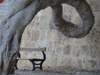 Malta, Mdina – quiet corner, Feb. 2013