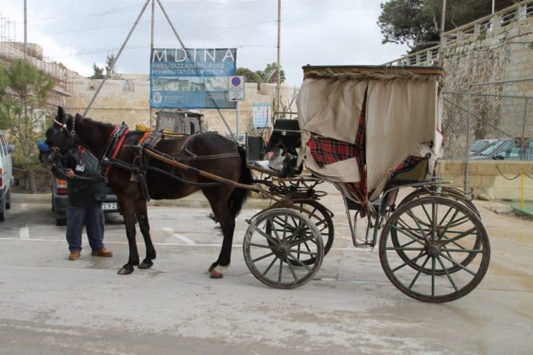 Malta, Mdina – careless carriage, Feb. 2013 (Mdia)