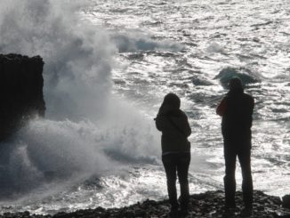 マルタ、ゴゾ島－尻尾 2013年2月