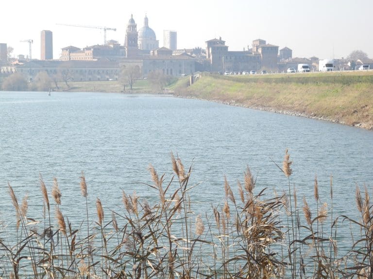 Mantova 2018 (2) (ロンバルディア)