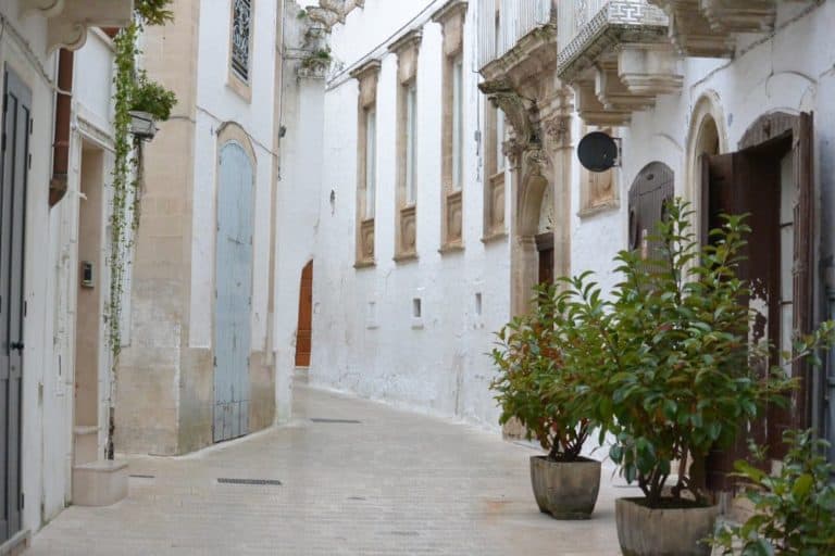 イタリア、マルティーナ・フランカ－植物のある通り 2013年11月 (プーリア州)