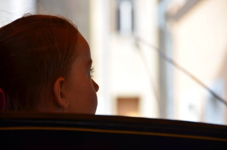 town – eyelash, Sept.2015 (Meissen)