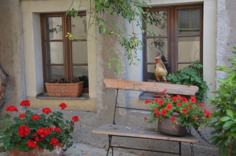 town – bench with flowers, Aug.2015 (Meissen)