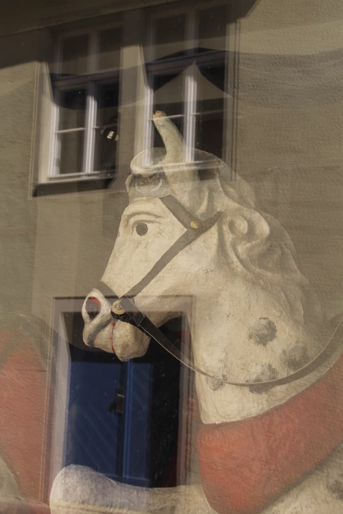 town – horse, Aug.2015 (Meissen)