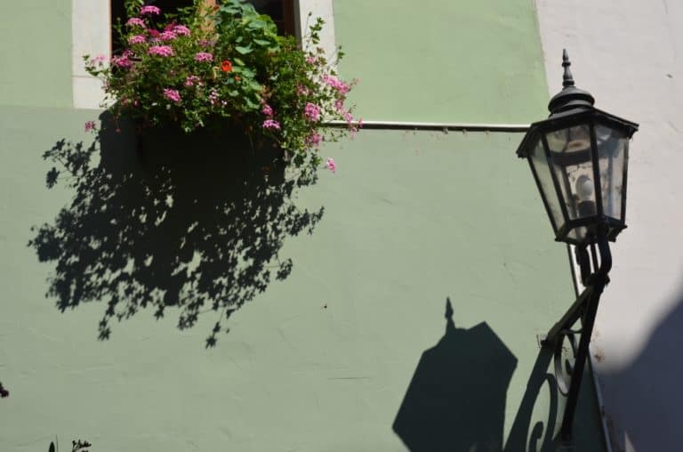 town – shadow of flowers and lamp, Aug.2015 (Meissen)
