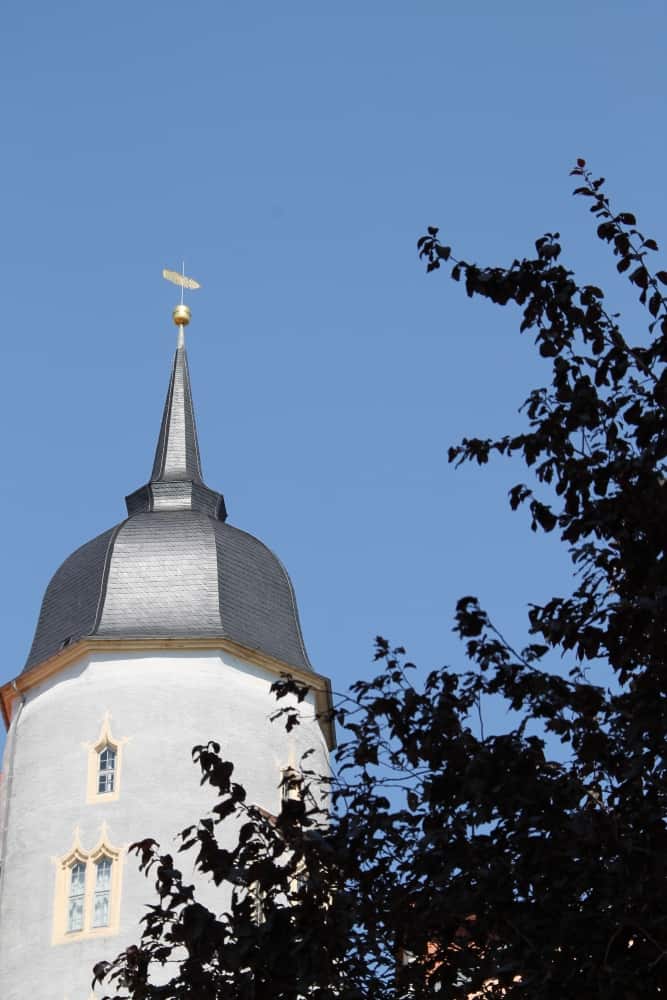 town – tree and tower, Aug.2015 (Meissen)