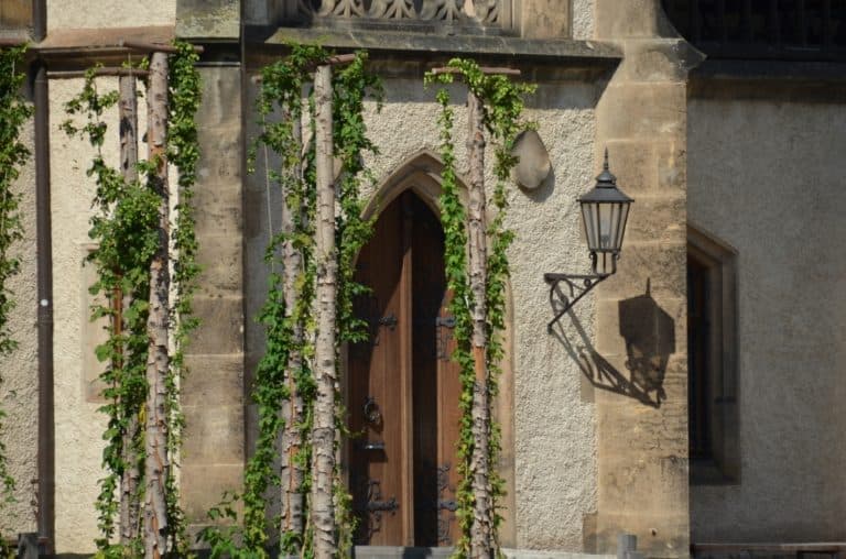 town – ivy and lamp, Aug.2015 (Meissen)